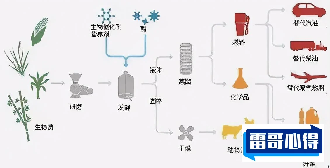 世界上十大特别令人惊讶的奇异植物排行榜2025最新排名前十名榜单出炉