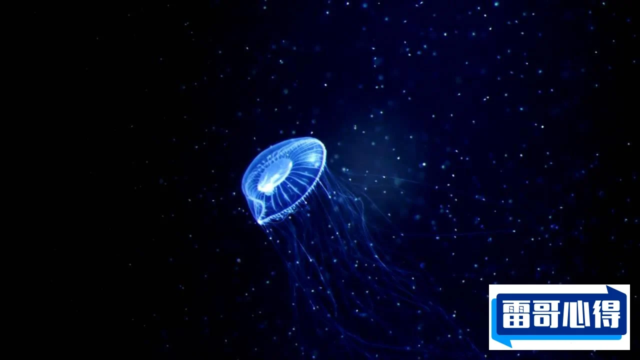 世界上寿命特别长的十种动物:顶尖无限分裂(实现返老还童)2025年排名前十名榜单出炉