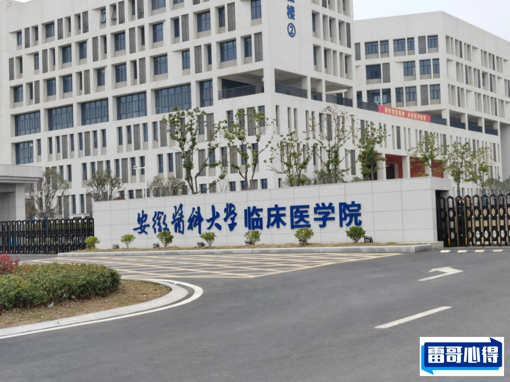 安徽医科大学临床医学院是985吗