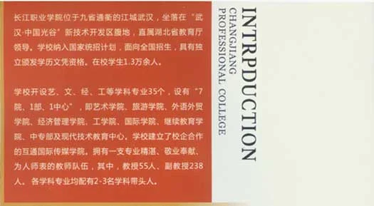2024年长江艺术工程职业学院招生章程